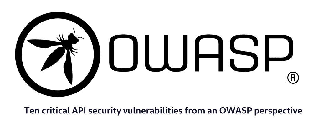 Ten Critical API Security Vulnerabilities from an OWASP Perspective